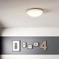 Preview: Philips BALLAN 40cm Alu