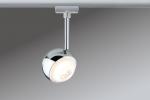 954.55 Spot  CAPSULE